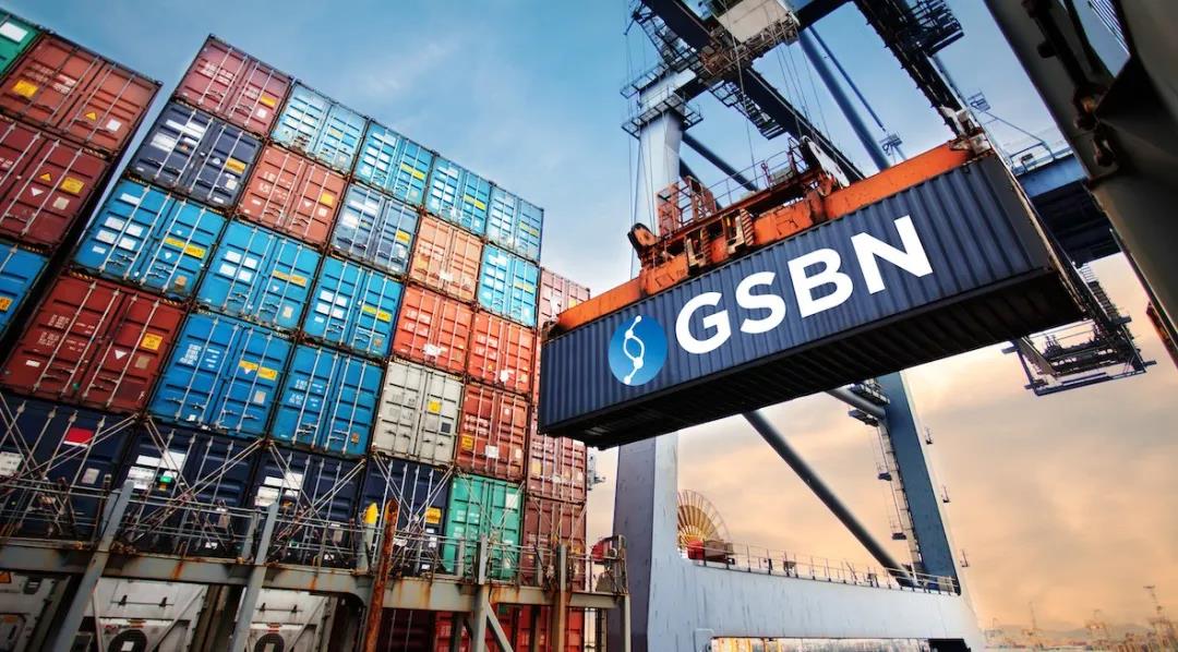 GSBN今日与中国8大港口集团和港航公司，签署合作意向书