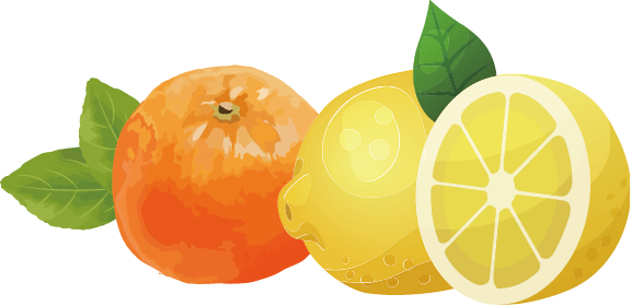 柑橘属水果出口指引