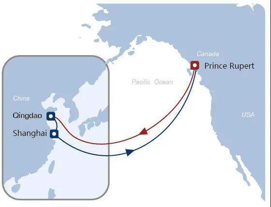 中远海控预计前三季度净利104.83亿美元！新推出两条“美线直客特快专线”