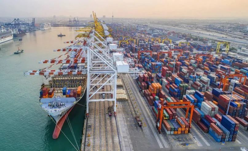 该港来自南亚的进口量不断增加，使其免受来自中国的进口可能放缓的影响