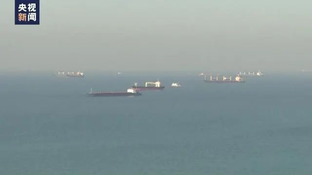 俄恢复执行粮食外运协议 乌称7艘运粮船驶离港口