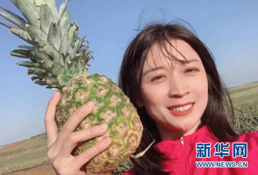 占台湾出口总量97％！大陆紧急暂停进口台湾菠萝，一菠萝专列开通