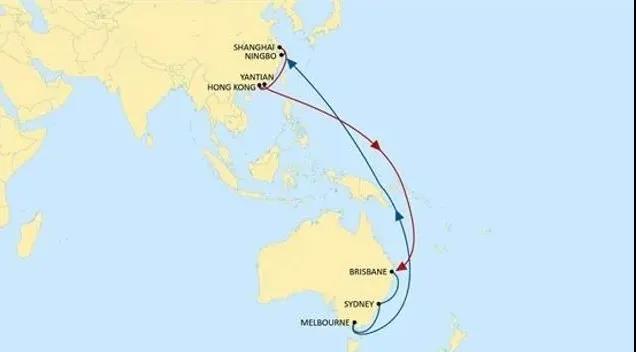 宁波上海香港盐田直航澳洲，地中海航运推出全新大洋洲航线