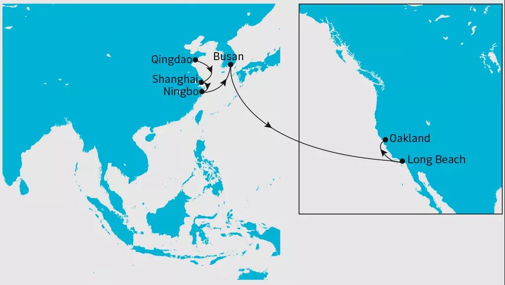 空箱严重短缺！华南拥堵后遗症显现，2M减少挂靠奥克兰频次，运价7-8月达到顶峰