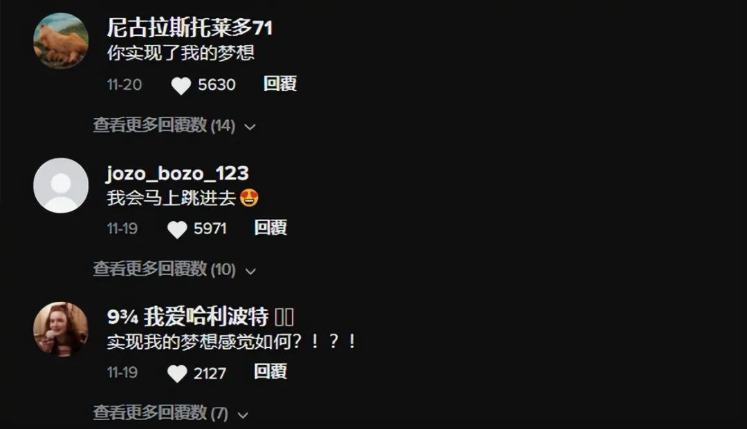 爆红TikTok ！由一款抱枕掀起的玩具收藏潮